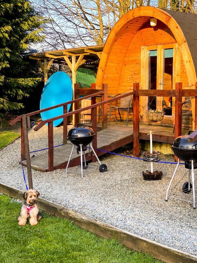 Log Cabin Kells  Kültér fotó
